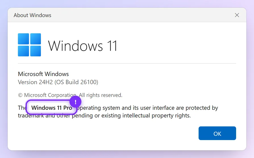 About Windows box with the edition name highlighted